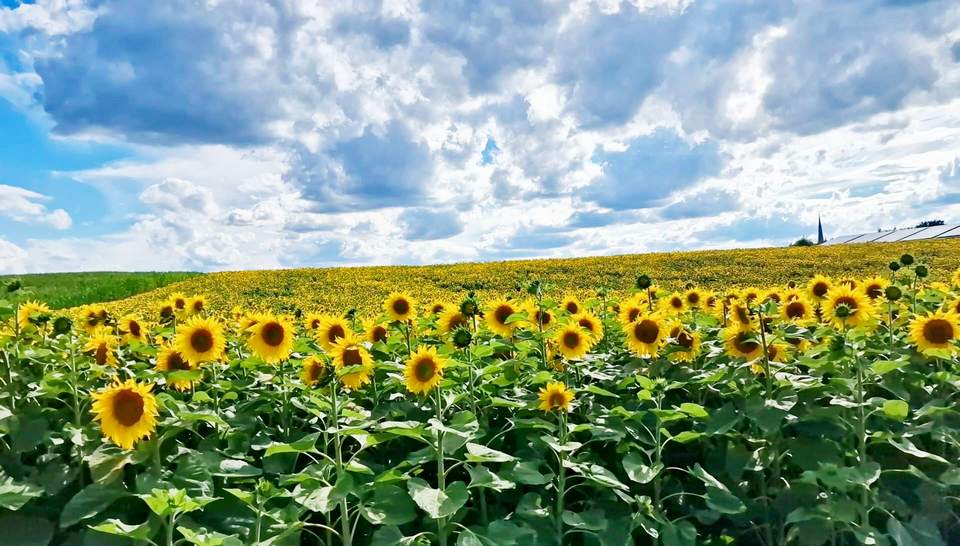 20204-07-Gedanken-und-Gefuehle-02