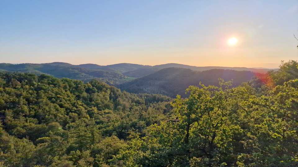 20204-08-Gedanken-verdraengen