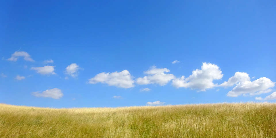 BossImKopf--Befreien-von-negativen-Gedanken-Luschas