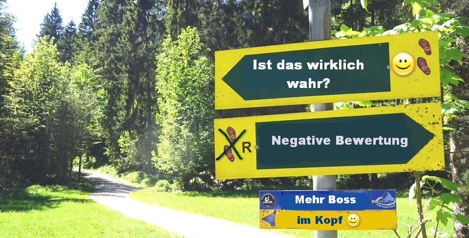 BossImKopf-normale-Gedanken-negative-Bewertungen-unterscheiden-Luschas