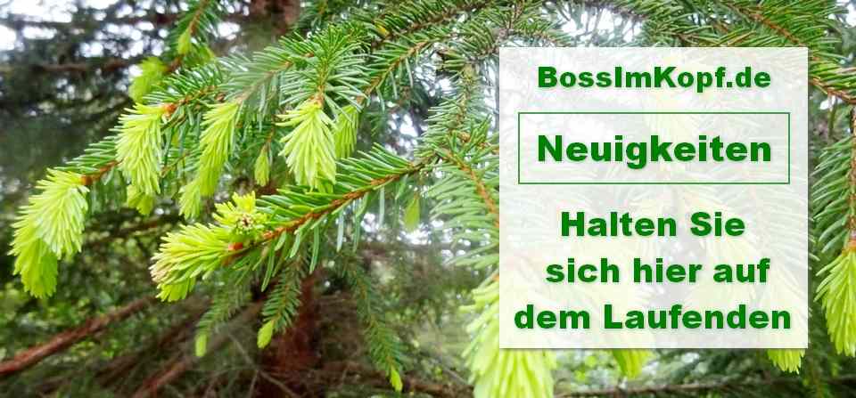 Bossimkopf-Bild-Neuigkeiten-Sich-auf-dem-Laufenden-halten-Luschas-002-960x447-Light