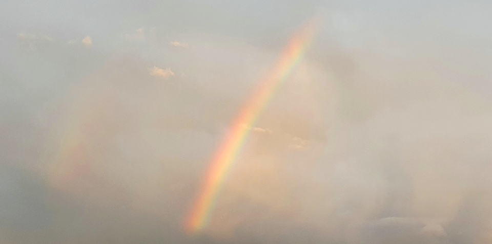 Bossimkopf-luschas-Wohlfuelanker-Regenbogen